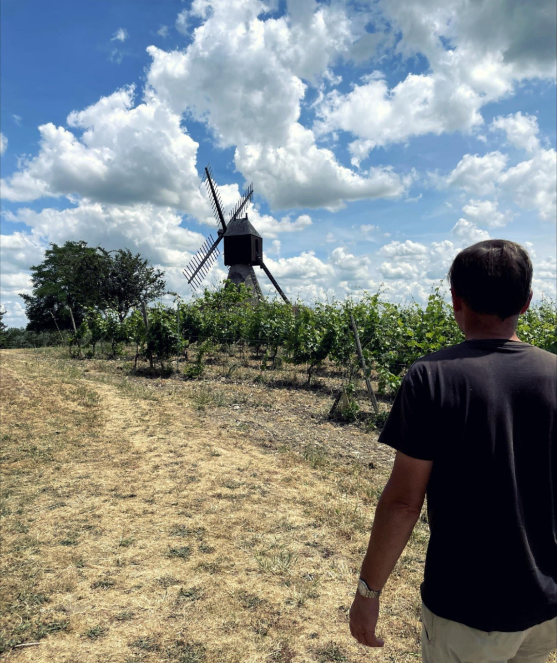 Damien from Domaine Laureau in Vineyards